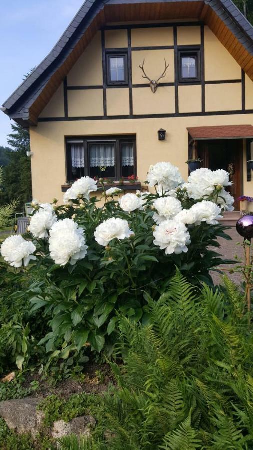Birkenhain Stolberg i. Harz Εξωτερικό φωτογραφία