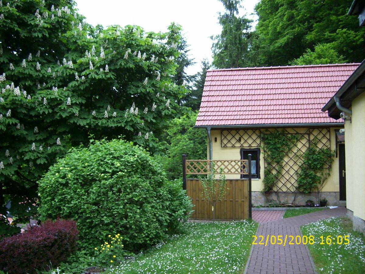 Birkenhain Stolberg i. Harz Εξωτερικό φωτογραφία