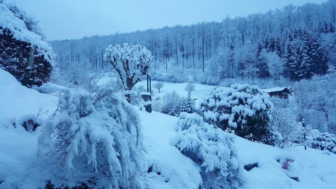 Birkenhain Βίλα Stolberg i. Harz Εξωτερικό φωτογραφία